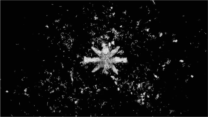 /uploads/image/2025/10/13/ -05.jpg /uploads/image/2025/10/13/ -05.jpg